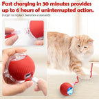 ChaseCraze™ Rolling Toy- Cat’s New Favorite Toy