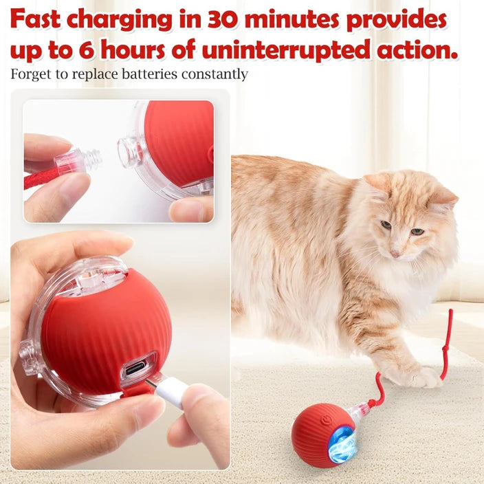 ChaseCraze™ Rolling Toy- Cat’s New Favorite Toy