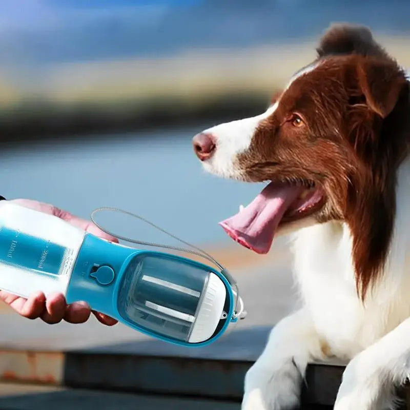 AquaPaws™ Multi-Use Pet Cup - Hydrate, Feed & Clean Pet Cup Trio!
