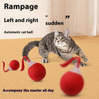 ChaseCraze™ Rolling Toy- Cat’s New Favorite Toy