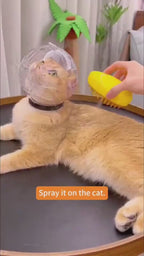 1.mp4