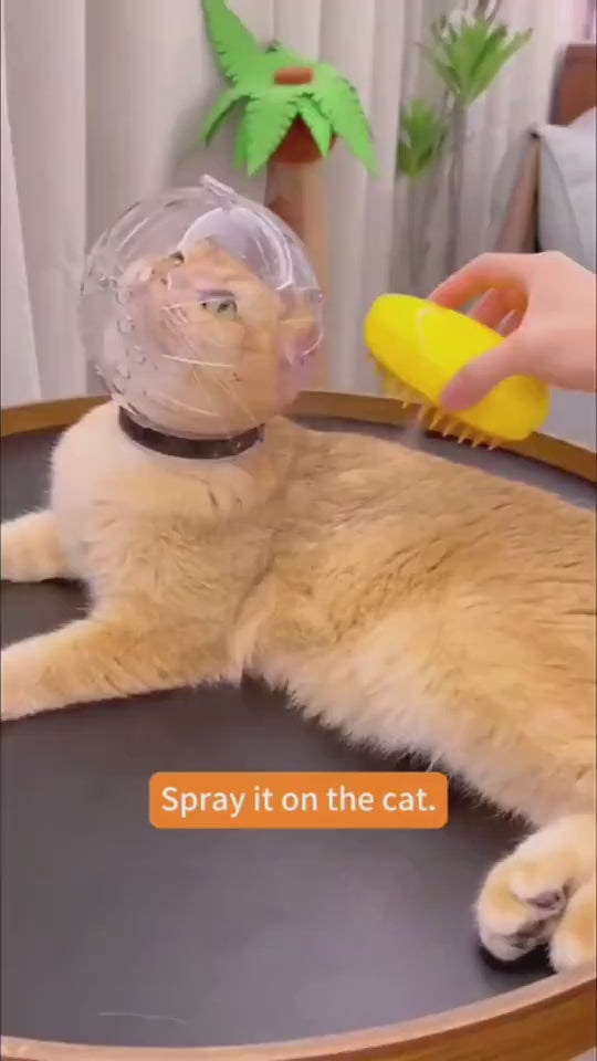 1.mp4